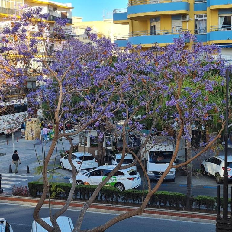 Im Herzen von Fuengirola - One-Bedroom Apartment - 23