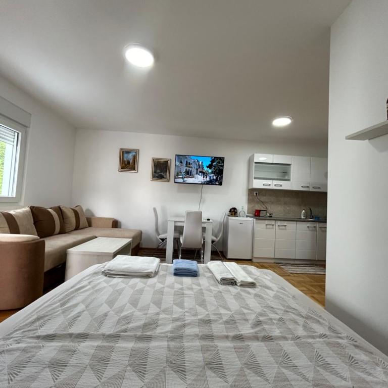 Apartmani Central 8 & Free parking - Apartman sa 1 Spavaćom Sobom - 4