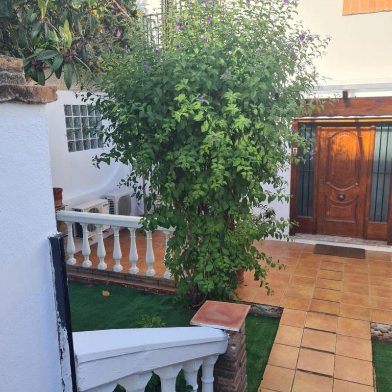 Benyamina House - Casa de 3 dormitorios - 3