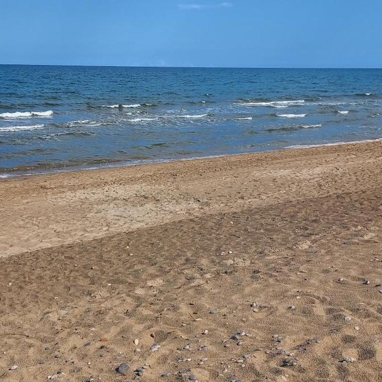 Oropesa playa-piscina-parking y wifi - Apartamento de 2 dormitorios - 11