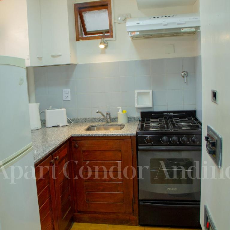 Apart Cóndor Andino - Apartamento de 1 dormitorio - 19