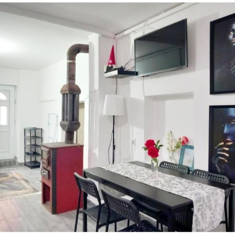 Privatni smeštaj Zlatko - Two-Bedroom Apartment - 12