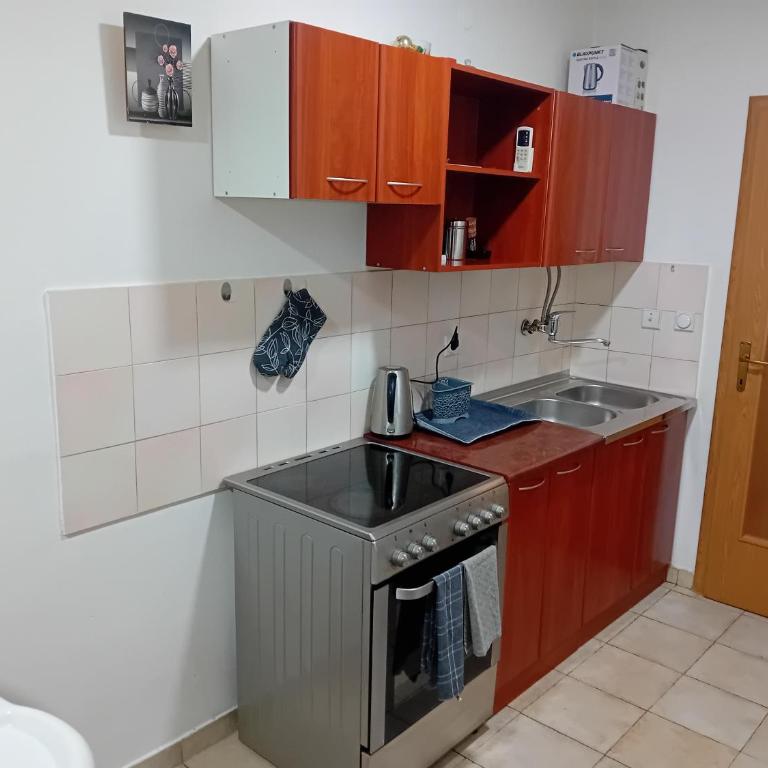 Apartman Lata - Apartman sa 1 Spavaćom Sobom - 13