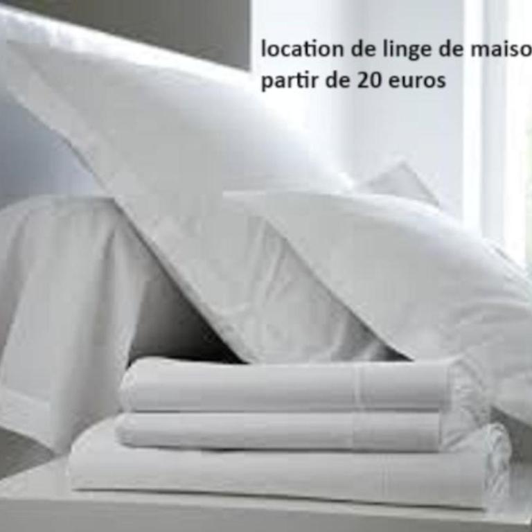 T2 moderne ,design, neuf, climatisé avec piscine - One-Bedroom Apartment - 3