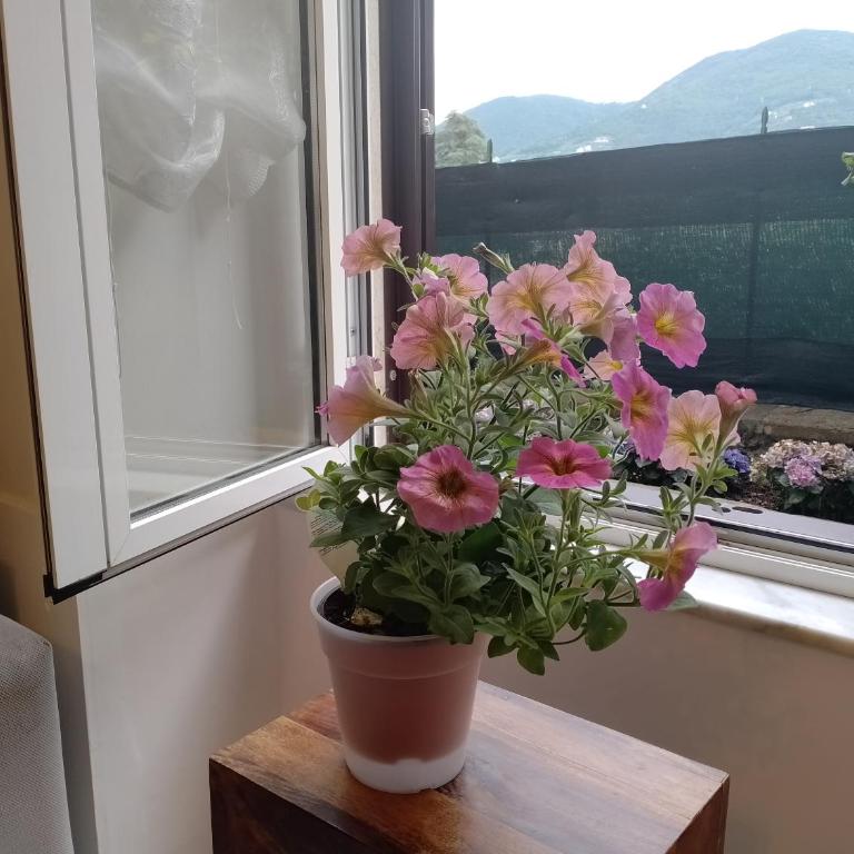 Casa VEVE' - Appartamento con 1 Camera da Letto - 31