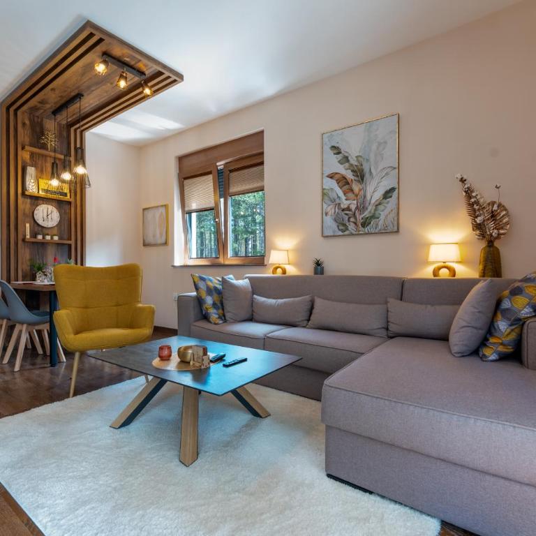 Zlatibor Centar Lux Apartman - Apartman sa 1 Spavaćom Sobom - 24