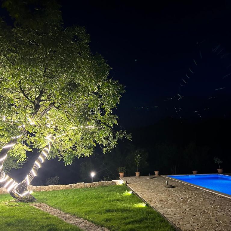 Holiday home Zlatna Glavica - Two-Bedroom Villa - 19