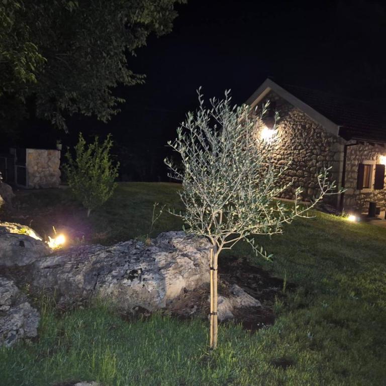 Holiday home Zlatna Glavica - Two-Bedroom Villa - 20