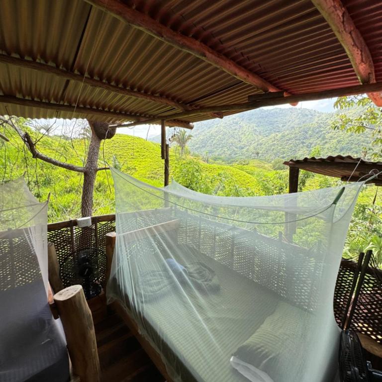 The Valley Tayrona hostel- A social jungle hostel - Cama individual en habitación compartida mixta - 10