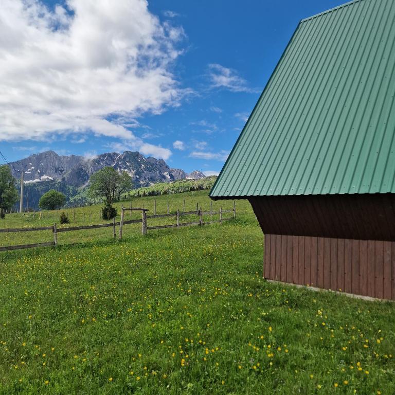 Bosaca - Two-Bedroom House - 7