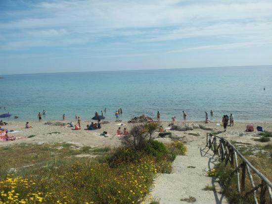 Brezza marina - One-Bedroom Apartment - 47
