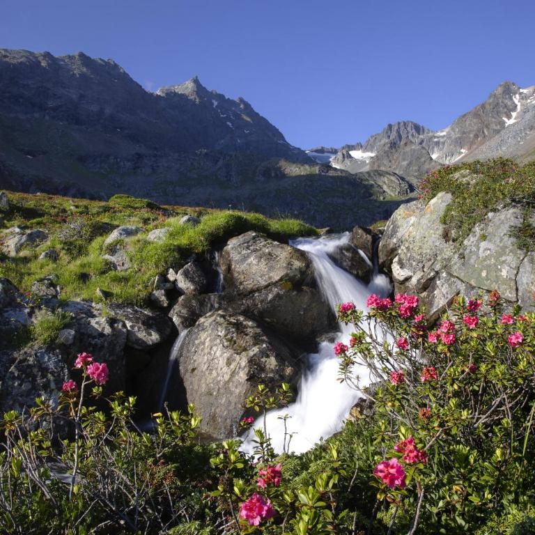 Appartement Natalie - Apartamento de 2 dormitorios - 4