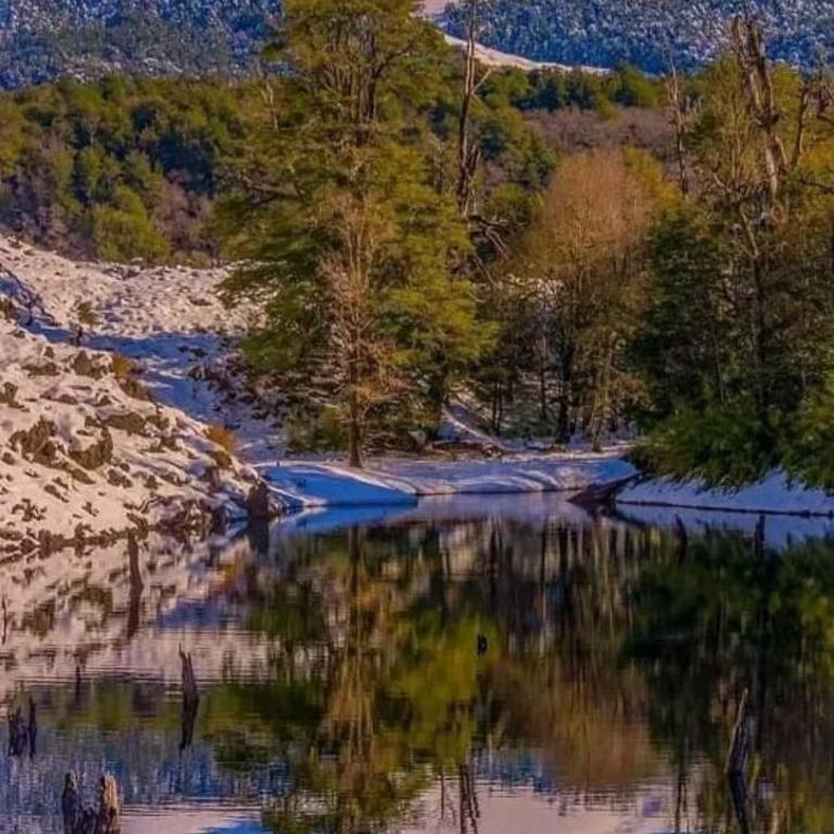 Cabaña May Pao, para 3 en Melipeuco cerca del Parque Nacional Conguillio - Apartamento de 1 dormitorio - 39