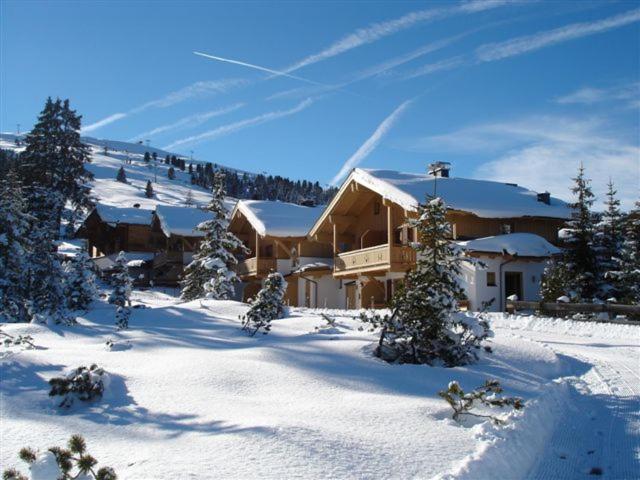 Haus Amelie Top 2 - Ferienhaus - 9