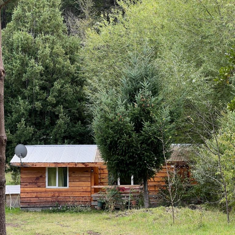 Cabaña May Pao, para 3 en Melipeuco cerca del Parque Nacional Conguillio - Apartamento de 1 dormitorio - 14