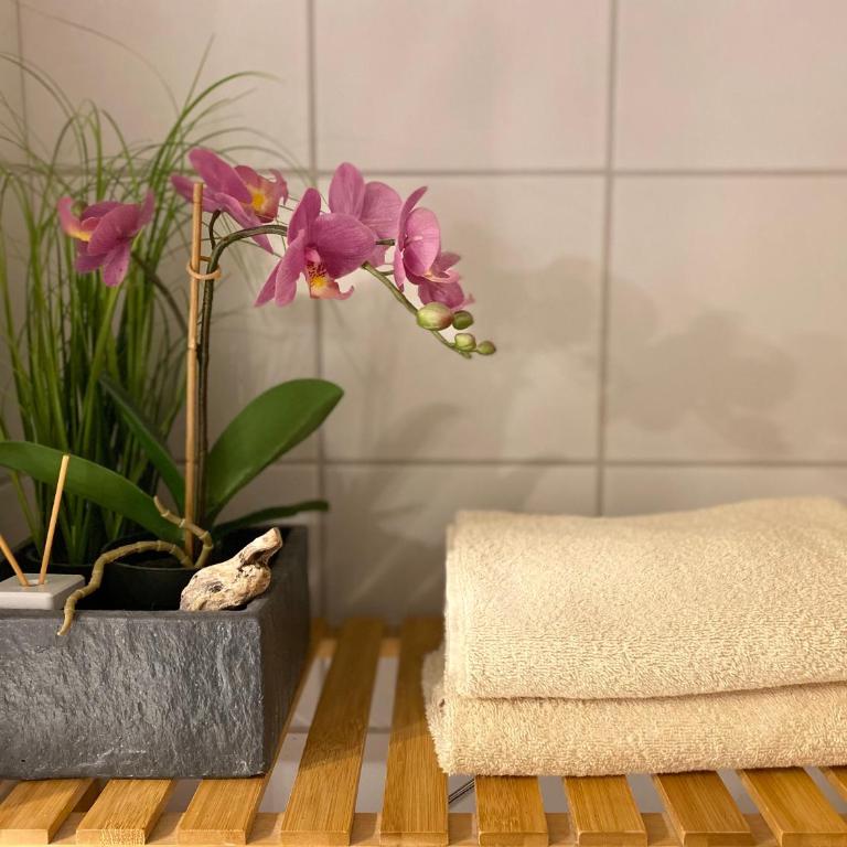 Haus Alpendomizil - Sommer-Bergbahnen kostenlos - Apartment mit 2 Schlafzimmern - 4