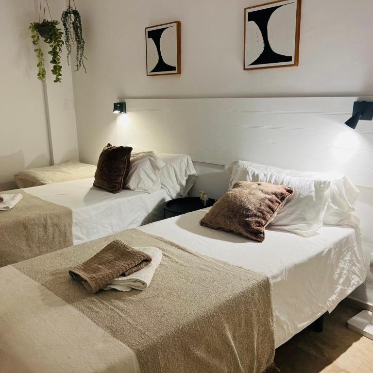 Impeccable large apartment with immense terrace and private garden overlooking the mountain, featuring 2 bedrooms and sleeping up to 4 guests located 100 meters from Plaza Maestranza - Two-Bedroom Apartment - 17