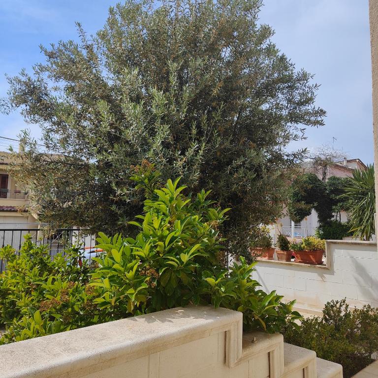 Honey Fede - Three-Bedroom Townhouse - 24