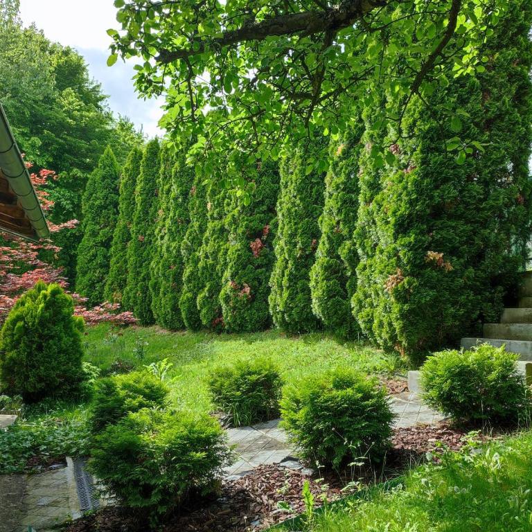 Garden House - Kuća sa 4 Spavaće Sobe - 54