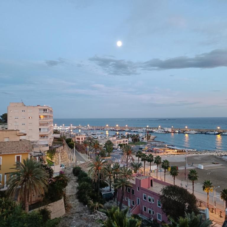 Seaview - Apartamento de 1 dormitorio - 20
