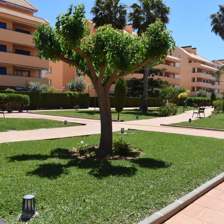 Anacasa Marjales de las Marinas AT2214 - Apartamento de 2 dormitorios con terraza - 25
