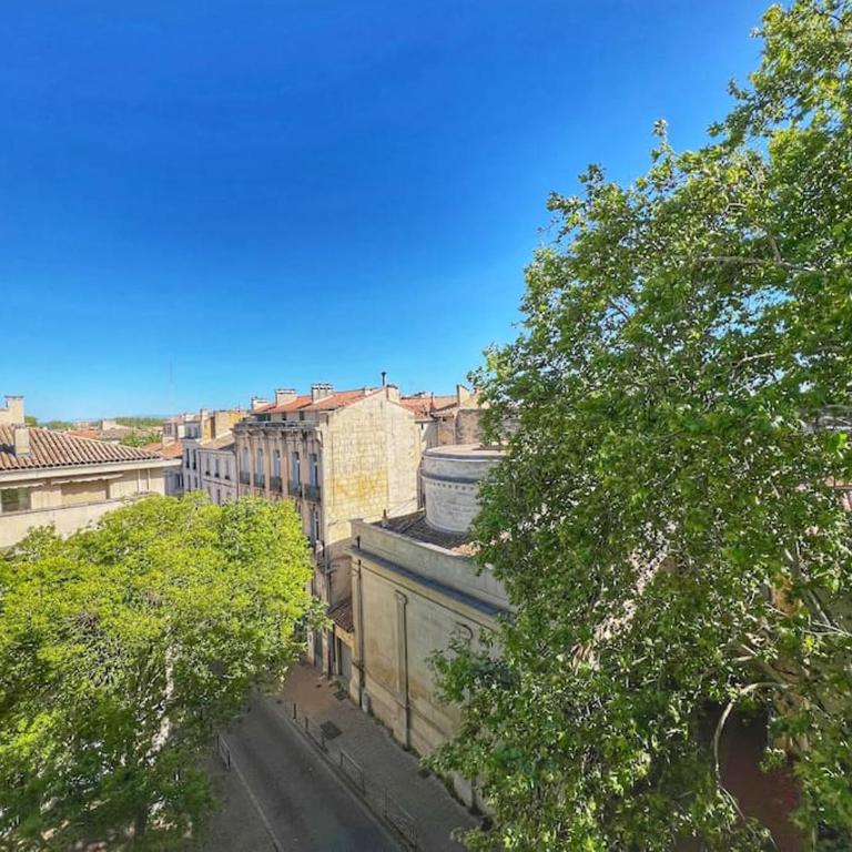 Nid perché en centre historique d'Avignon - Appartamento con 1 Camera da Letto - 1