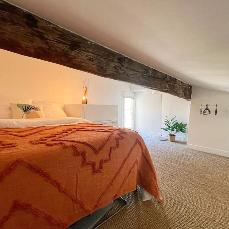 Nid perché en centre historique d'Avignon - Appartamento con 1 Camera da Letto - 8