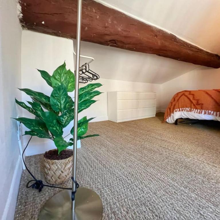 Nid perché en centre historique d'Avignon - Appartamento con 1 Camera da Letto - 13