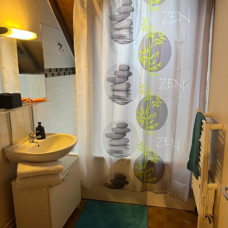Le mortier d’or duplex hyper centre ville - Appartement 1 Chambre - 3