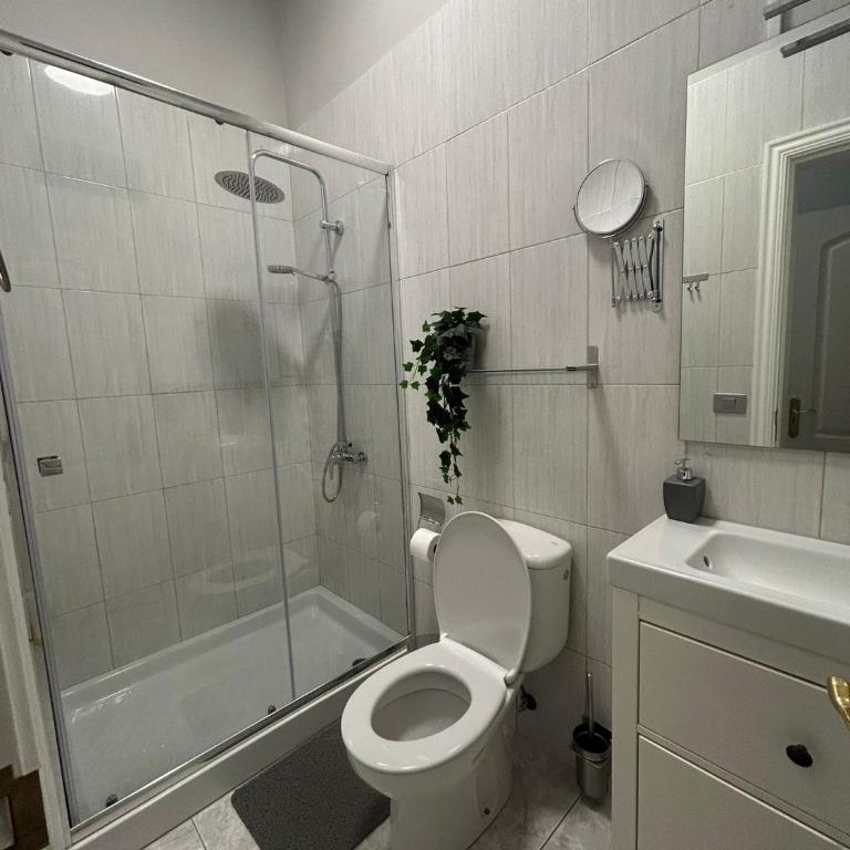 Basement Apartment Studio - One-Bedroom Apartment - 12
