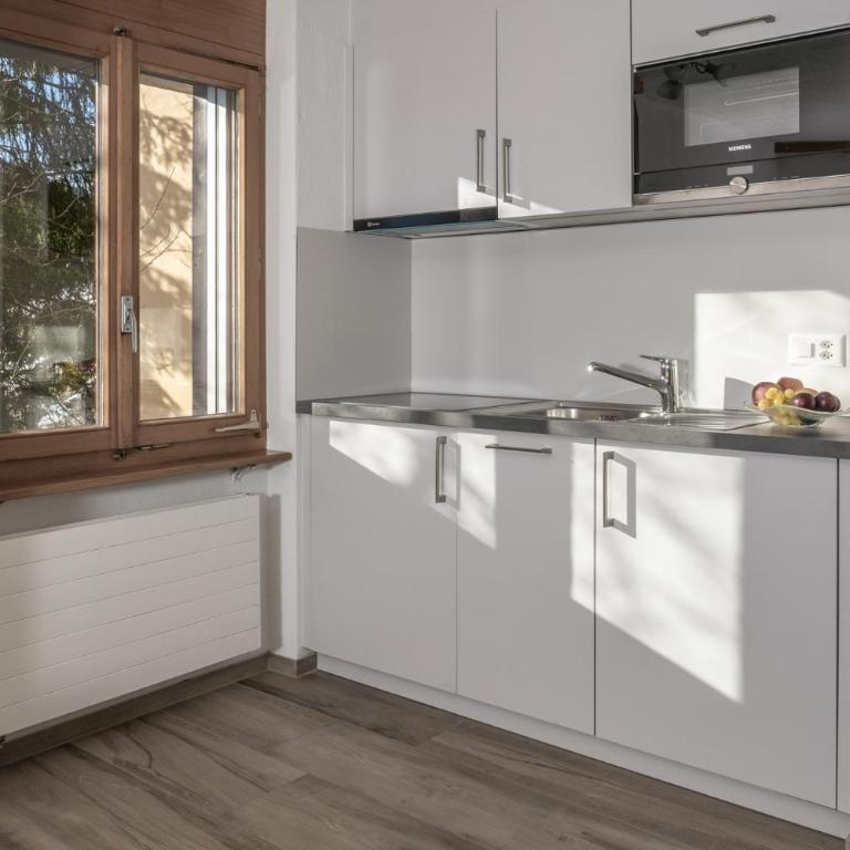 Ferienwohnungen Zurschmitten - Studio mit Bergblick - 9 - 4