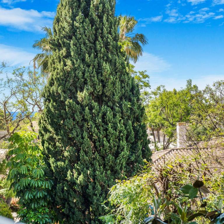 Hacienda de los Nagüeles - Marbella Golden Mile by Finest Rentals - Apartment with Pool View - 32