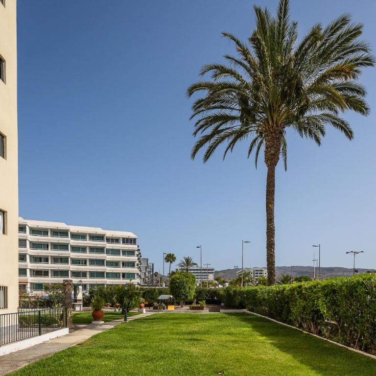 Los Ficus - One-Bedroom Apartment - 9