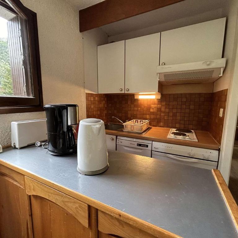 Studio avec coin montagne - 4 pers, à 100m des télécabines, piscine, parking, casier à ski - Appartement 1 Chambre - 14