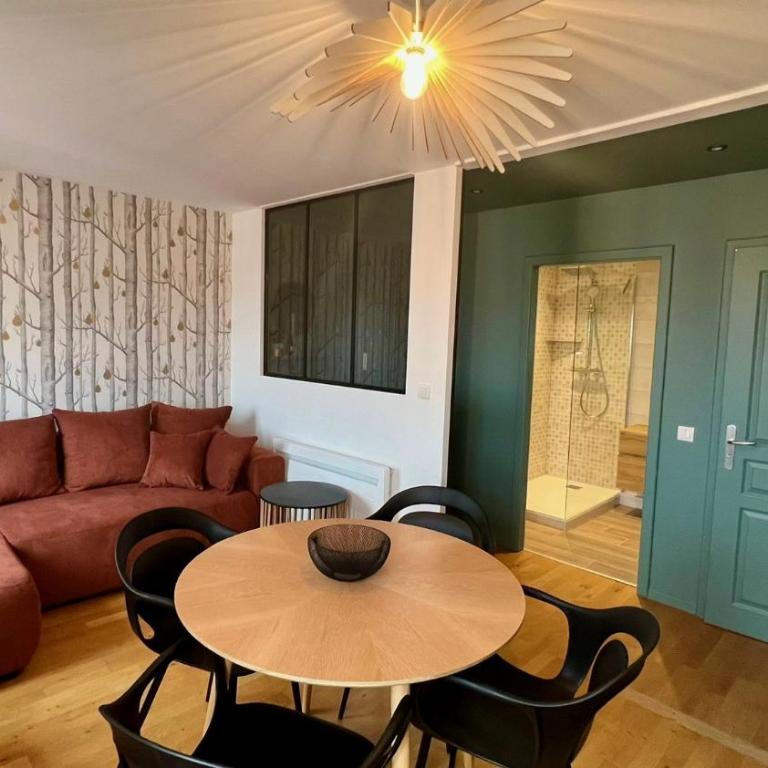 Appartement Le Verdoyant hyper centre avec Parking et Sauna - Appartamento Superior - 12