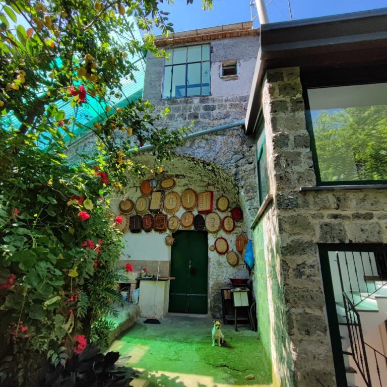 San Renato Country house - Casa Vacanze - 3