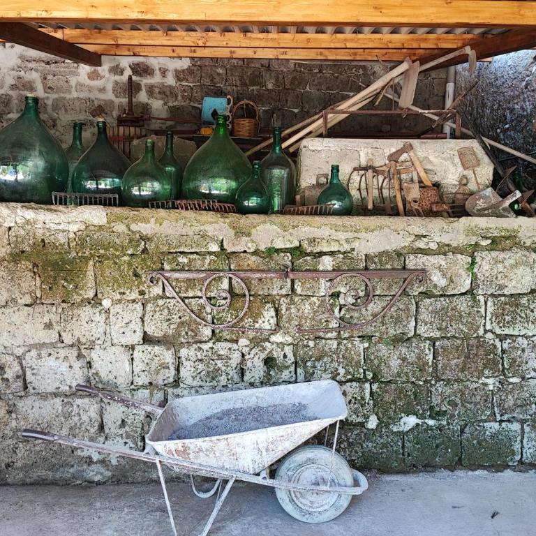 San Renato Country house - Casa Vacanze - 21