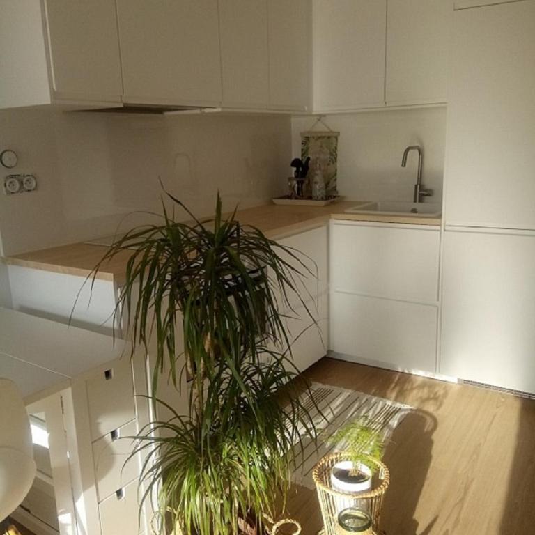 VITTORIA IMMOBILIER - REZ DE JARDIN BORD DE MER Couchant - One-Bedroom Apartment - Sea Side - 8