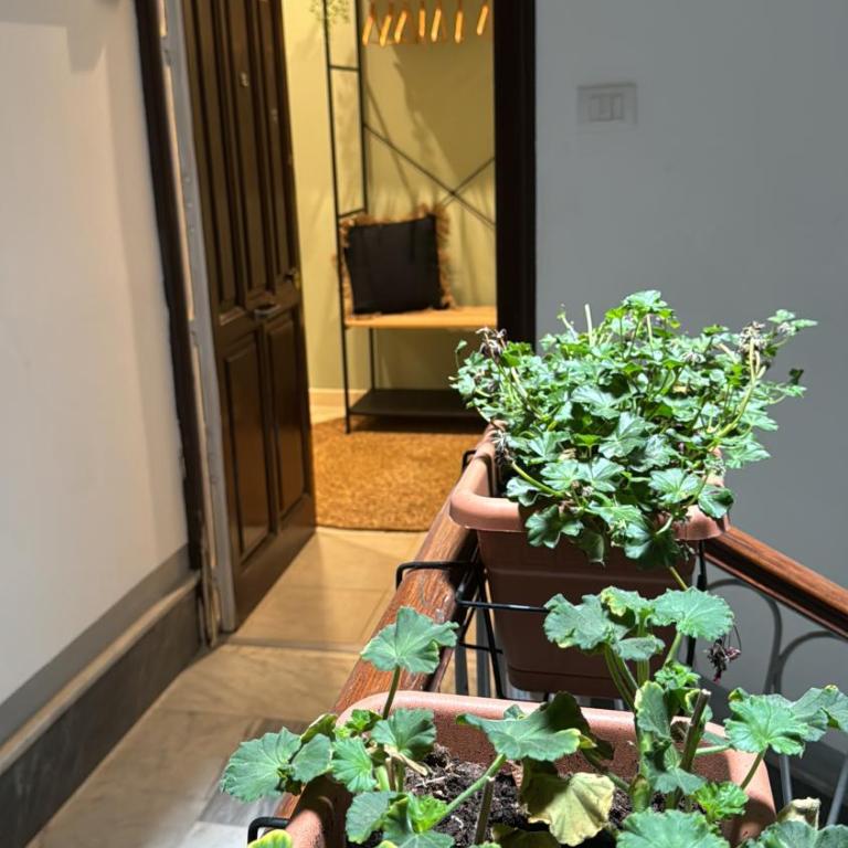 Domus Fysi - Two-Bedroom Apartment with Sea View - 51