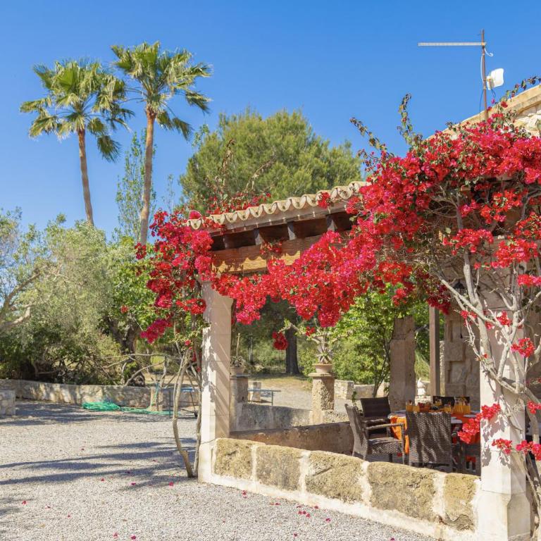 Villa Can Cosme - Villa con piscina privada - 52
