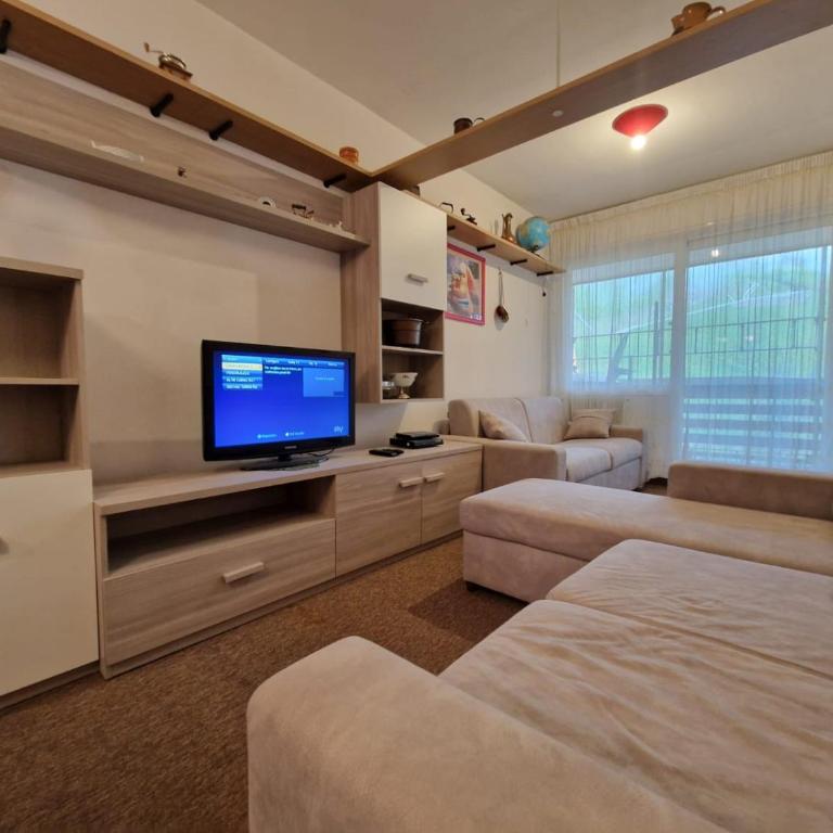 Bilocale sulle Piste by Holiday World - Apartment mit 1 Schlafzimmer - 4