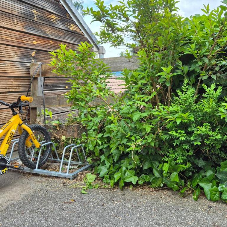 Studio Bike & Snow - Apartment mit 1 Schlafzimmer - 29