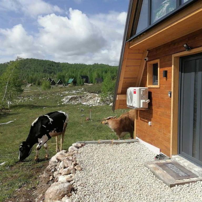 Vila Vuk - Two-Bedroom House - 24