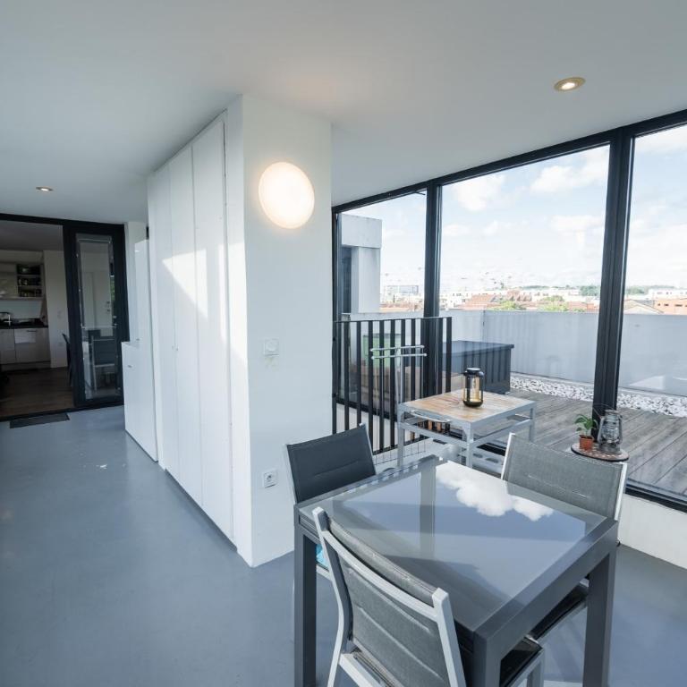Spacious and bright nest with beautiful terrace - Appartement - 12