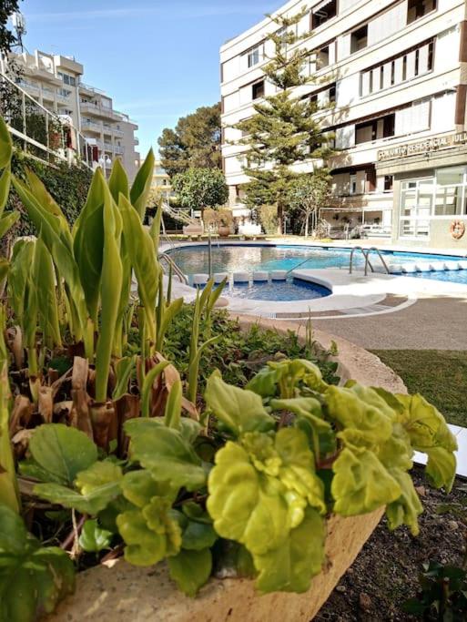 Salou, Port Aventura, piscina, a 80m del mar - Apartamento de 3 dormitorios - 24