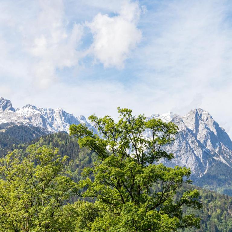 Mercure Panoramablick 303 - Appartement avec Vue sur la Montagne - 5