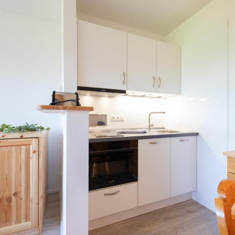 Mercure Panoramablick 303 - Appartement avec Vue sur la Montagne - 13