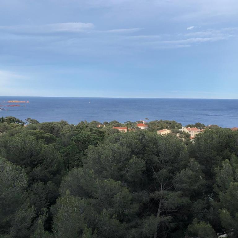 Cap esterel magnifique T3 - Apartment mit 3 Schlafzimmern - 8