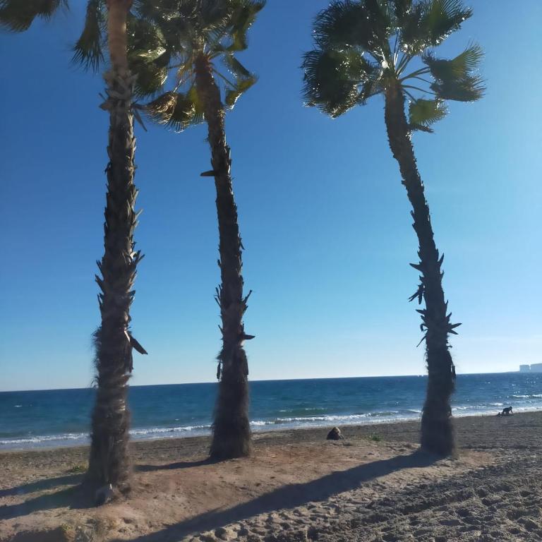 Almoradi Holiday rent - Two-Bedroom Apartment - 15