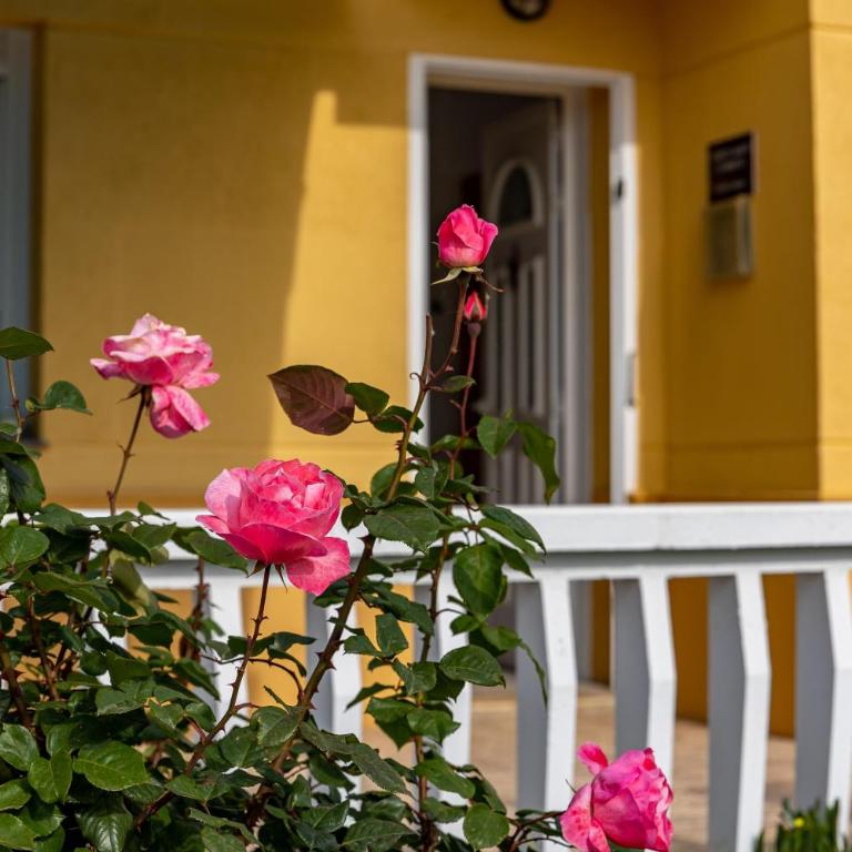 Casa Marti i Carmeta - Two-Bedroom House - 14
